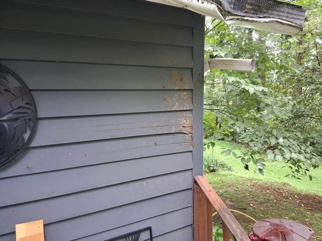 Siding damage